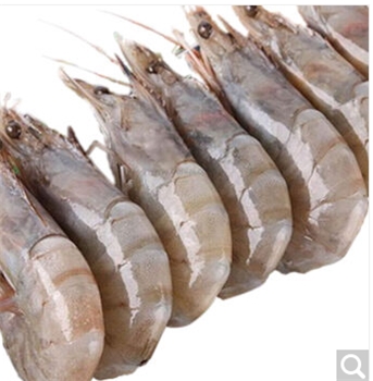 宇食俱进厄瓜多尔白虾大虾南美活冻海鲜水产海虾 1700克40-50白虾